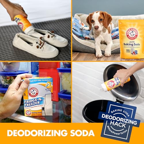 1 Pound Pack of 12 Baking Soda T327483
