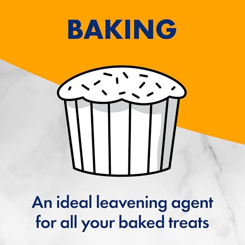 1 Pound Pack of 12 Baking Soda T327483
